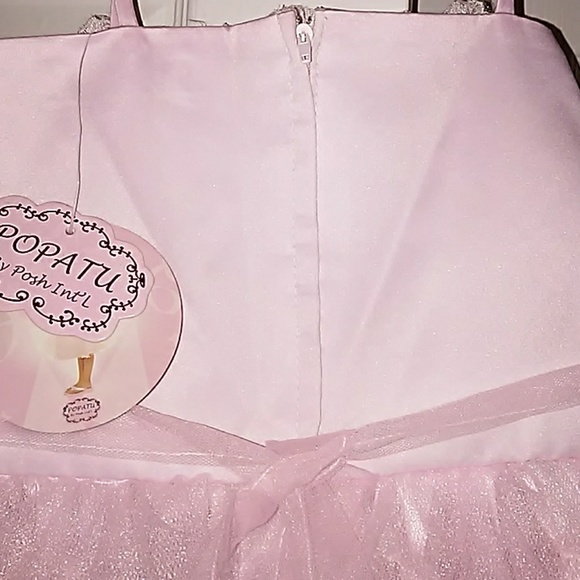 NWT Girl's pink Dance Tutu Dress - Picture 3 of 8